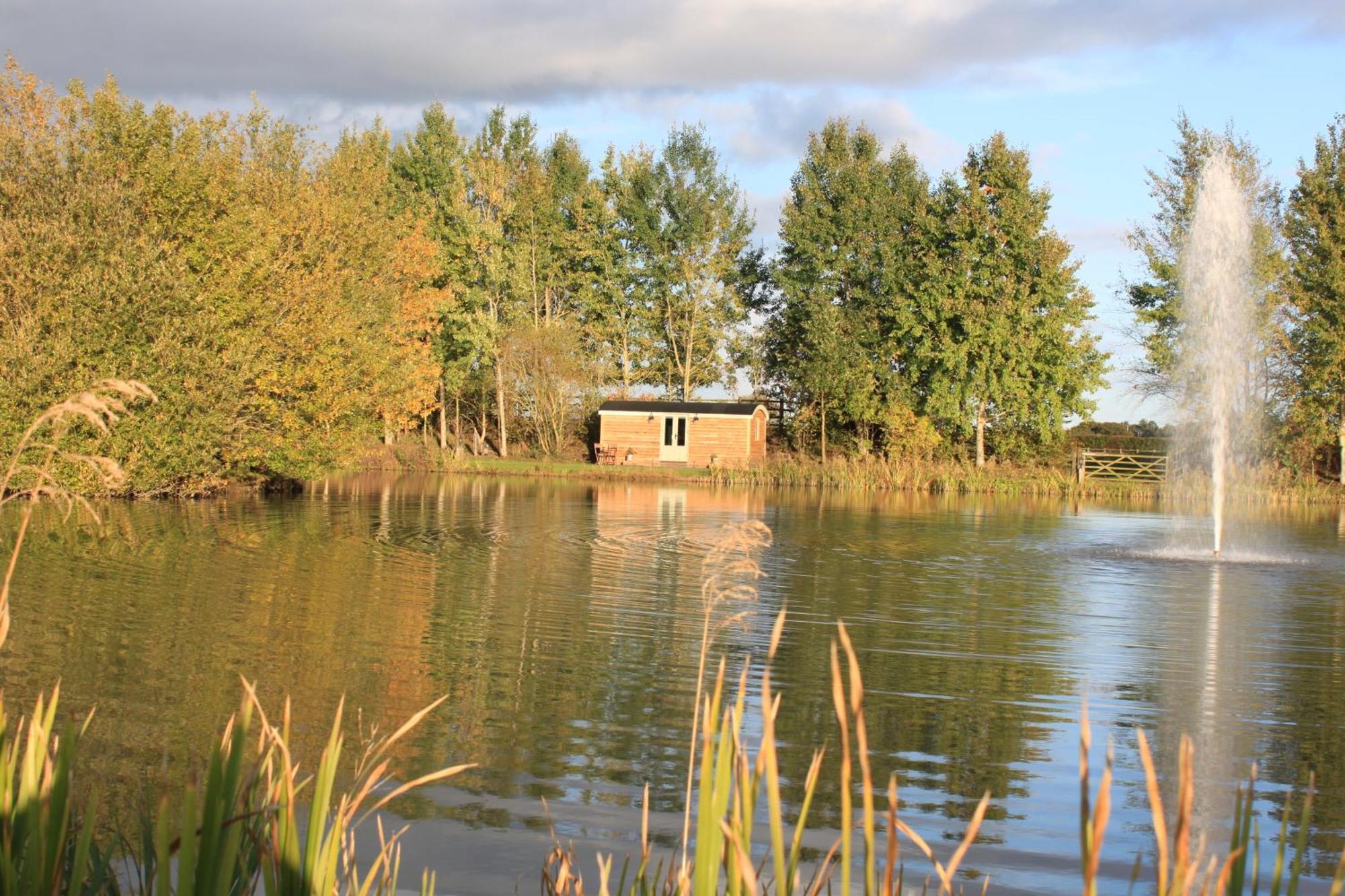 Campsite Luxury Shepherds Hut - The Foxglove By The