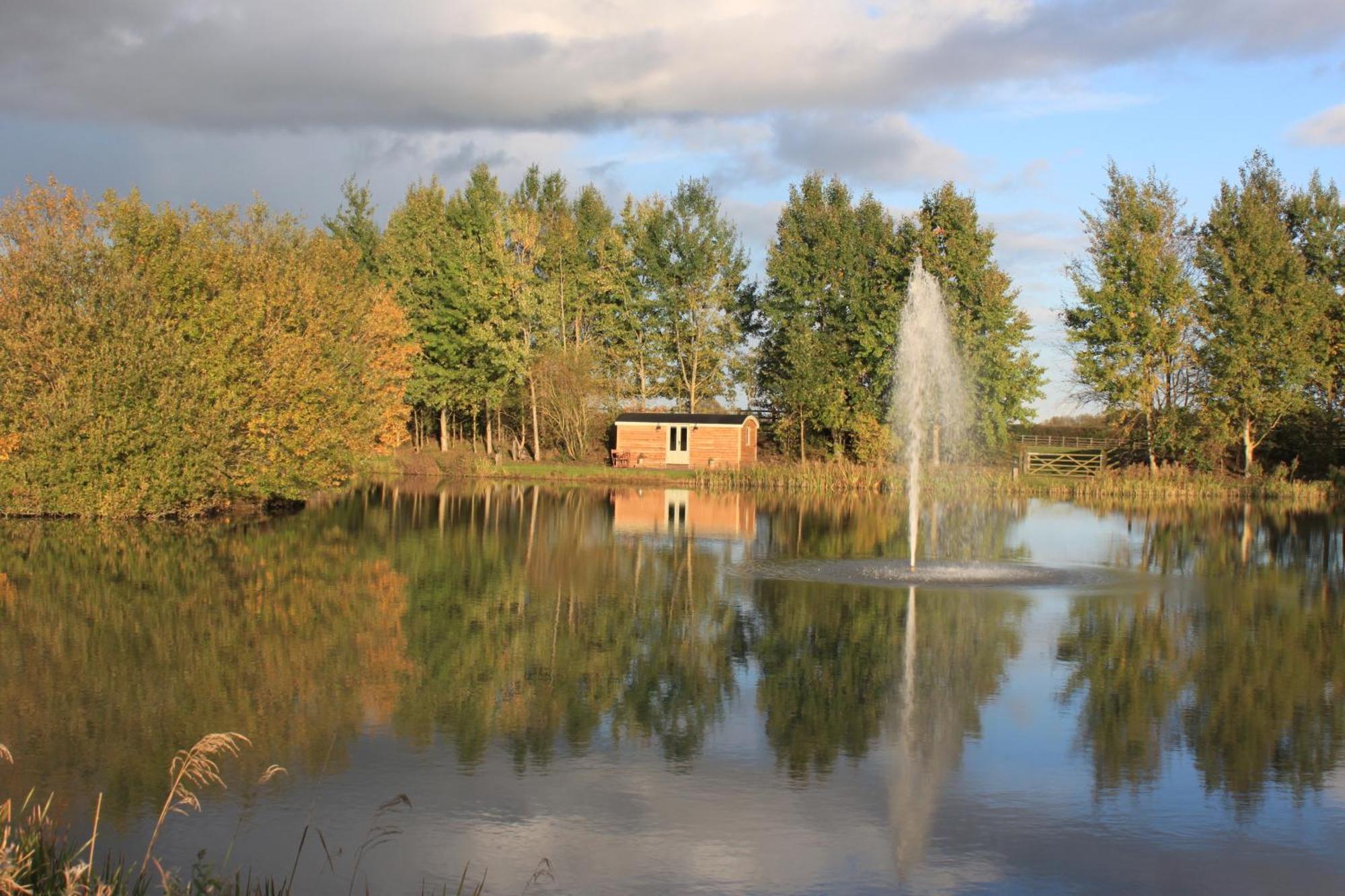 Campsite Luxury Shepherds Hut - The Foxglove By The *
